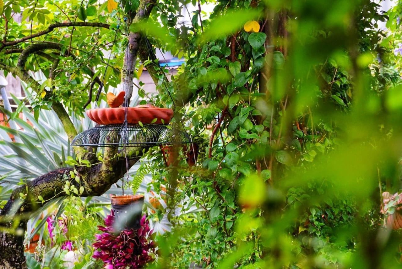 Mekong Pottery Homestay, Green-Friendly & Boat Tour Vĩnh Long Eksteriør billede